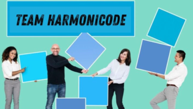 Team Harmonicode