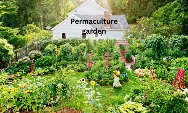 Permaculture garden