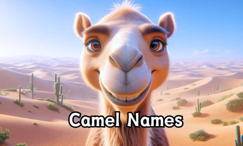 Camel names