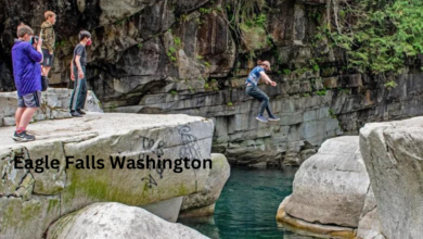 Eagle Falls Washington