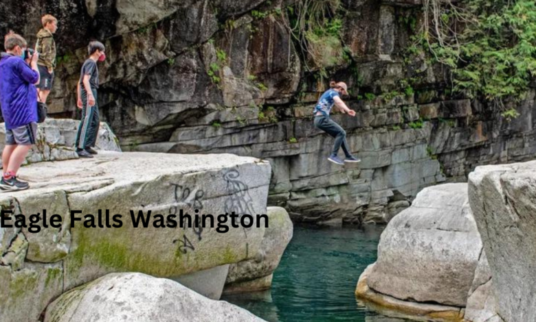 Eagle Falls Washington