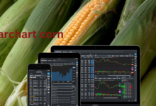 Barchart corn