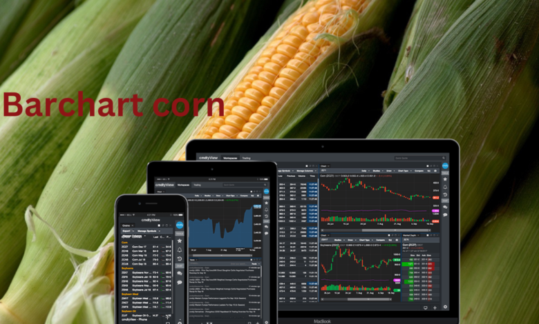 Barchart corn